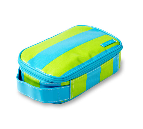 Wellie Cosmetic case- green stripe