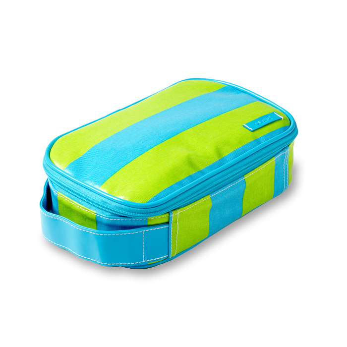 Wellie Cosmetic case- green stripe